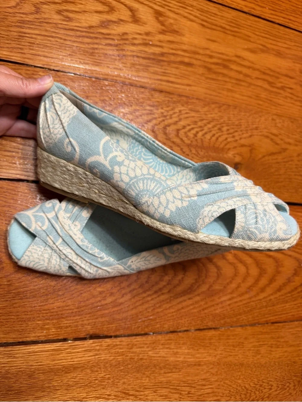 Grasshoppers light blue